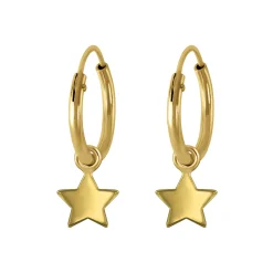 Gold plated oorringen met ster, hanger
